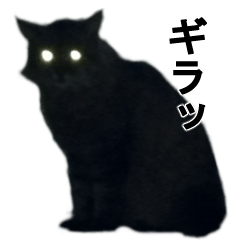 [LINEスタンプ] かわいい猫の実写スタンプ：敬語