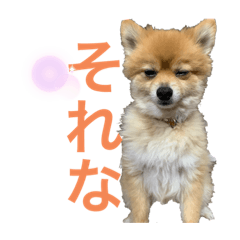 [LINEスタンプ] モコとラブのすたんぷ