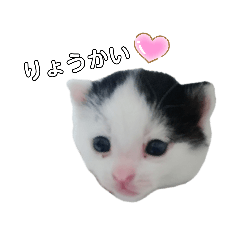 [LINEスタンプ] 白黒族①