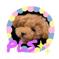 [LINEスタンプ] ティーカップヌードル英語ver.の画像（メイン）