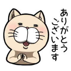 [LINEスタンプ] 猫派のネコ