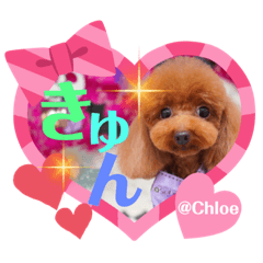 [LINEスタンプ] くくちゃん スタンプ