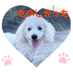 [LINEスタンプ] 愛犬ぷぅ君の日常2