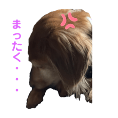 [LINEスタンプ] らぶぞぅd