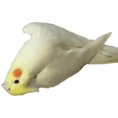[LINEスタンプ] トトウイウイ