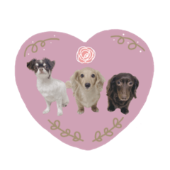 [LINEスタンプ] もこれん♡