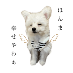 [LINEスタンプ] ととろくんのせいかつ