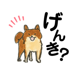 [LINEスタンプ] げんきいっぱい！きなこちゃん