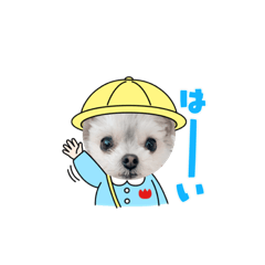 [LINEスタンプ] のえるさん！