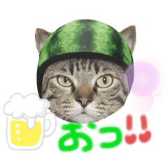 [LINEスタンプ] 中村家の愉快な仲間たち！