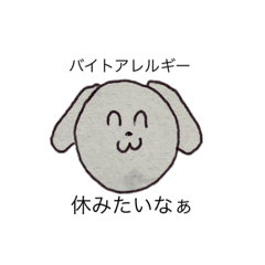 [LINEスタンプ] 大学生に使って欲しい動物スタンプ