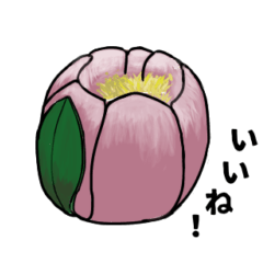 [LINEスタンプ] MEI'S COOKING スタンプ 第10弾 ！