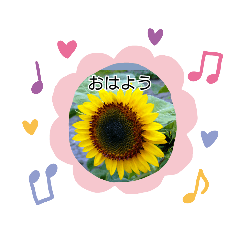 [LINEスタンプ] お花が好き〜