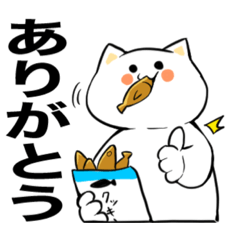 [LINEスタンプ] 白ねこのはっぴーらいふ