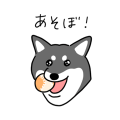 [LINEスタンプ] 黒柴の日常 使いやすいスタンプ