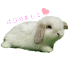 [LINEスタンプ] アイちゃん登場