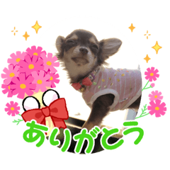 [LINEスタンプ] 結ちゃんスタンプ。