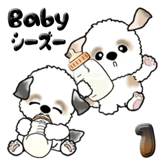 [LINEスタンプ] Babyシーズー犬 1『日常』の画像（メイン）