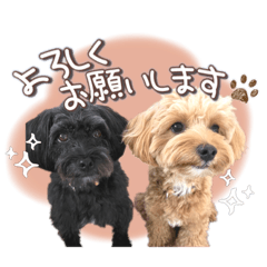 [LINEスタンプ] つかちゃんと将太朗