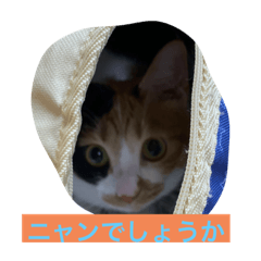 [LINEスタンプ] ちくわのちくスタンプ