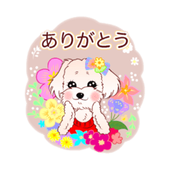 [LINEスタンプ] わんちゃんの日常敬語編☆