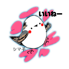 [LINEスタンプ] シマ子ちゃんと仲間たち