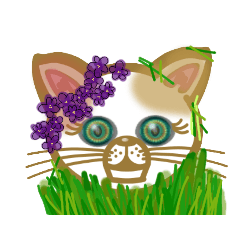 [LINEスタンプ] 宝石のようなエメラルドグリーンの瞳の猫2