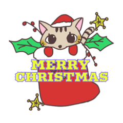 [LINEスタンプ] クリスマスねこさんた〜毎年使える！〜