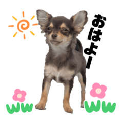 [LINEスタンプ] 結ちゃん②
