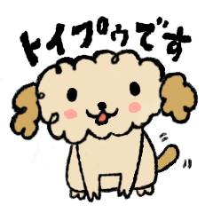 [LINEスタンプ] 伝える犬、トイプゥです！