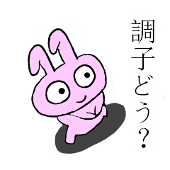 [LINEスタンプ] AVOうさぎ（挨拶ver.）