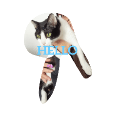 [LINEスタンプ] 猫のるうよ！