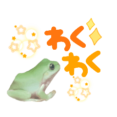 [LINEスタンプ] ケロケロカエルのスタンプ