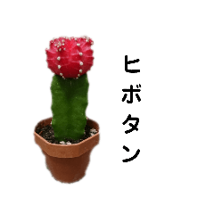 [LINEスタンプ] たにく