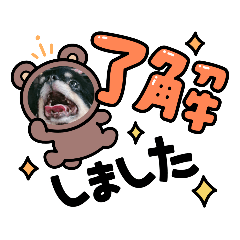 [LINEスタンプ] 吉永犬わんワン