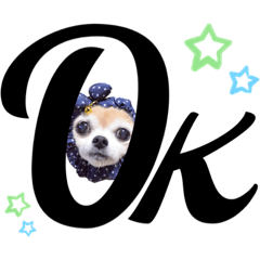 [LINEスタンプ] チワワのポポさん6