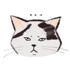 [LINEスタンプ] 表情豊かな白黒猫