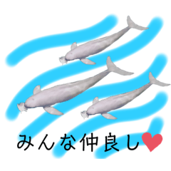 [LINEスタンプ] 海。空撮スタンプ(13)