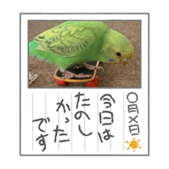 [LINEスタンプ] ゆきちゃん宅スタンプ4