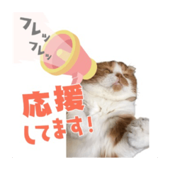 [LINEスタンプ] ちゃちゃのご挨拶スタンプ