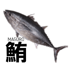 [LINEスタンプ] さかな サカナ 魚 fish