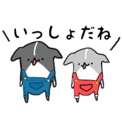 [LINEスタンプ] 黒いぬさんのイラストスタンプ