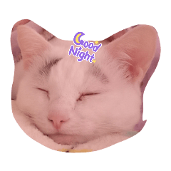 [LINEスタンプ] 愉快な犬猫3