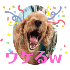 [LINEスタンプ] デカプー丼