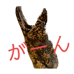 [LINEスタンプ] 魚三昧ver12