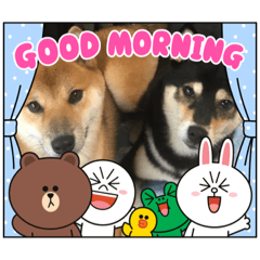 [LINEスタンプ] 柴犬モコ＆稲穂 LINEキャラクター