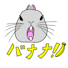 [LINEスタンプ] うさぎってイイヨネ