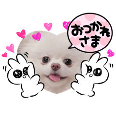 [LINEスタンプ] モコたすスタンプ2