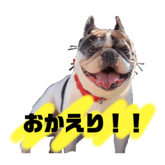 [LINEスタンプ] ベアル