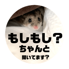 [LINEスタンプ] うにすた-日常編5-